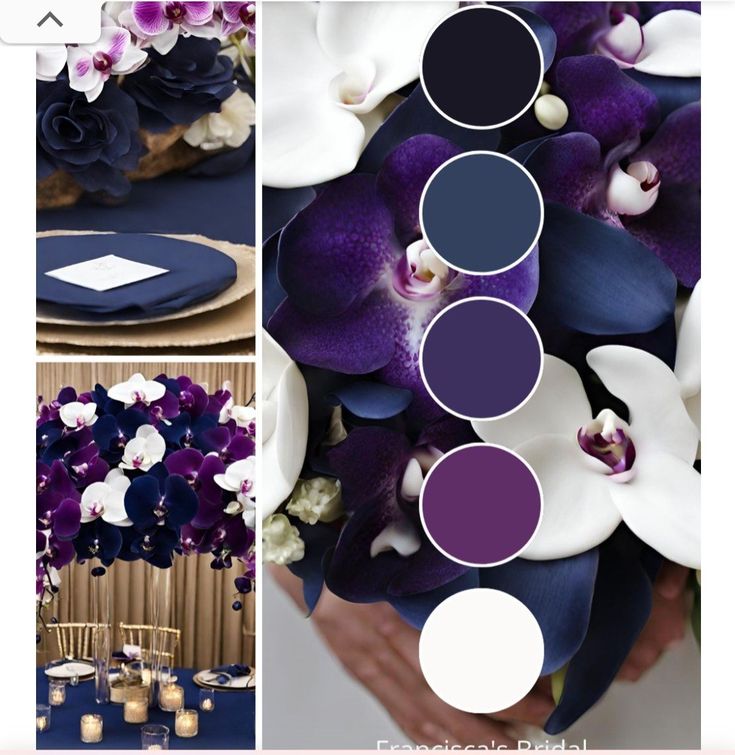 purple and white flowers are arranged in the center of this wedding color scheme, along with navy blue accents