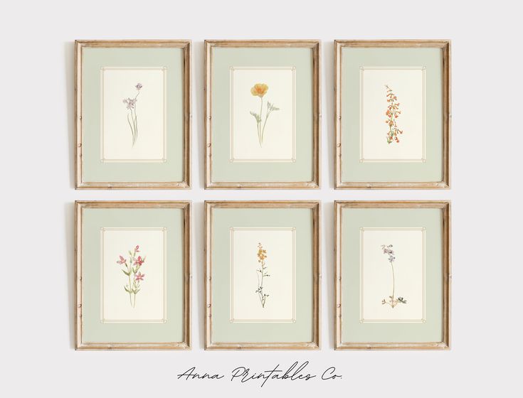 four framed flowers are displayed on the wall