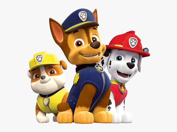 the paw patrol characters are posing for a photo