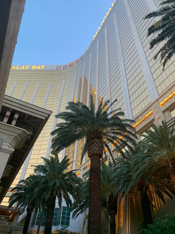 palm trees in front of the las vegas hotel and casino