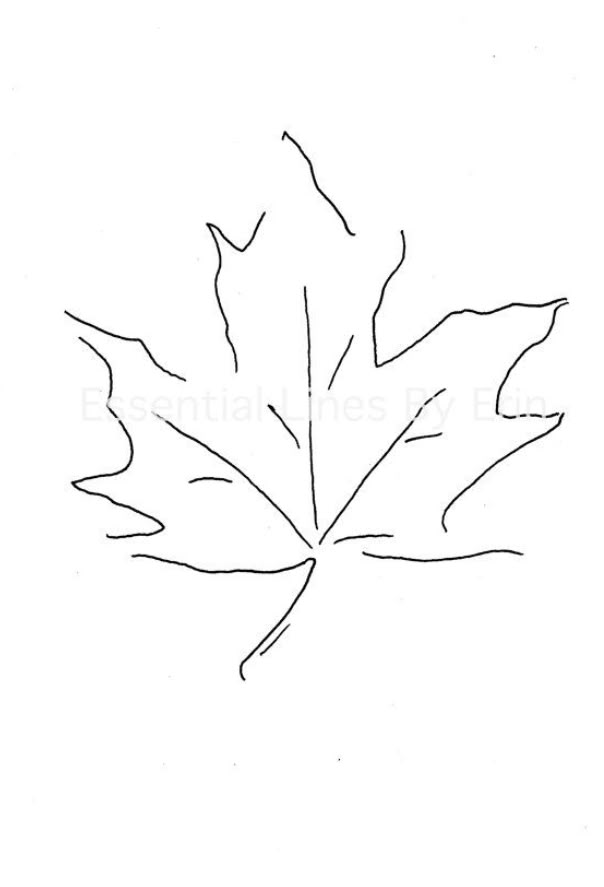 the outline of a maple leaf