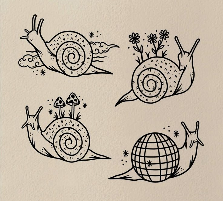 four snails with different designs on their backs