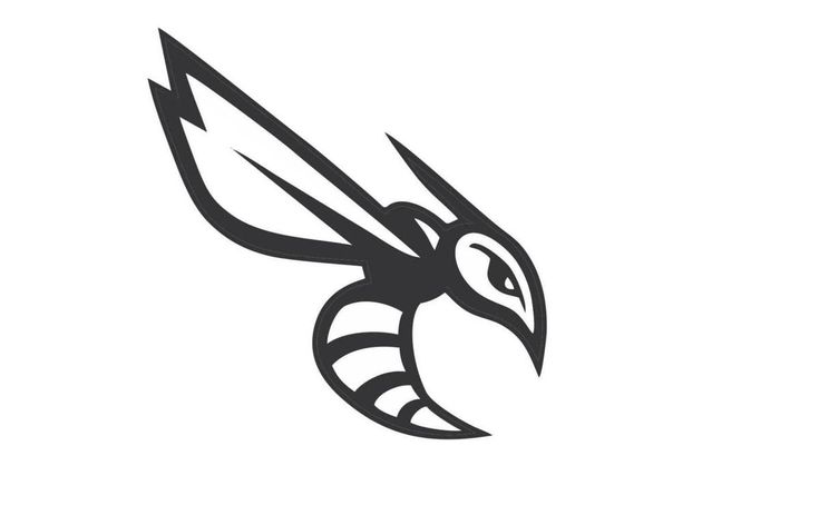 a black and white image of a bird's head with an arrow in the middle