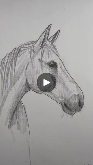 a pencil drawing of a horse's head with the words, how to draw a horse