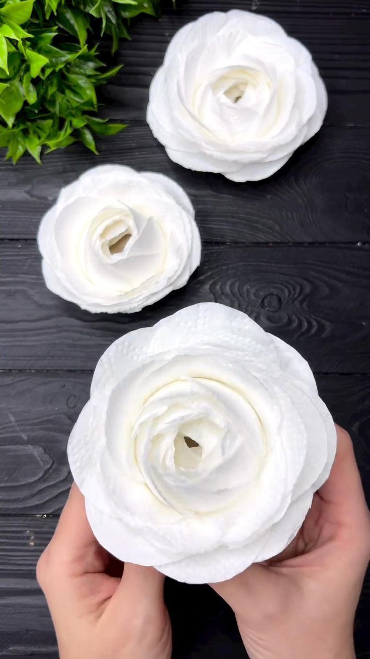 three white paper flowers are being held by two hands on a black table with greenery in the background