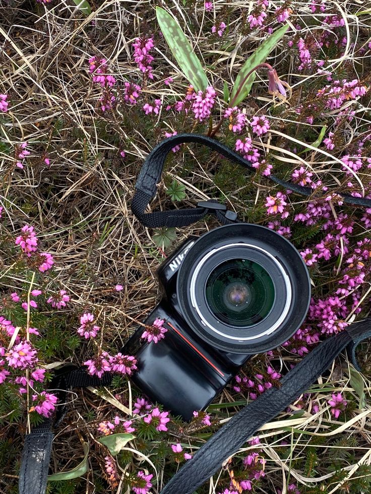 a camera is laying on the ground next to some purple flowers and a black strap