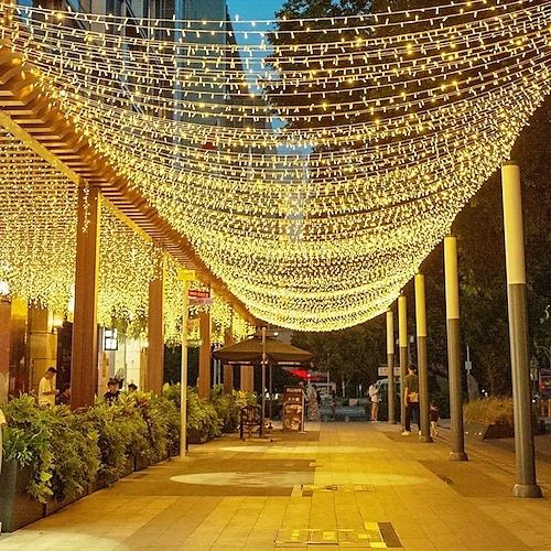 the lights are hanging from the ceiling in this city street lined with trees and bushes