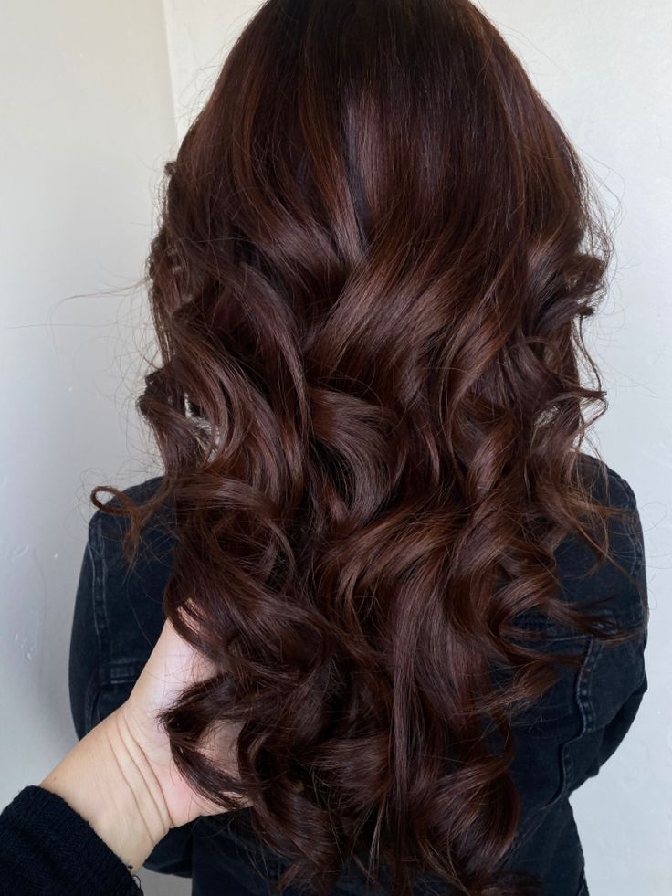 Color correction from Dark Brown to Medium Mocha Brown Hair Color Mahogany, Rambut Brunette, Dark Brunette Hair, Chocolate Brown Hair Color, Brown Hair Looks, Brown Hair Inspo, Chocolate Brown Hair, Fall Hair Color For Brunettes, Hair Color Auburn