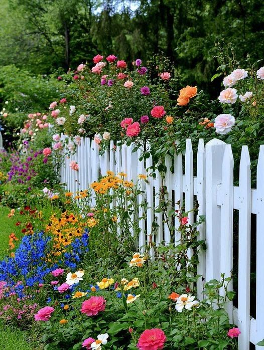 a white picket fence surrounded by colorful flowers