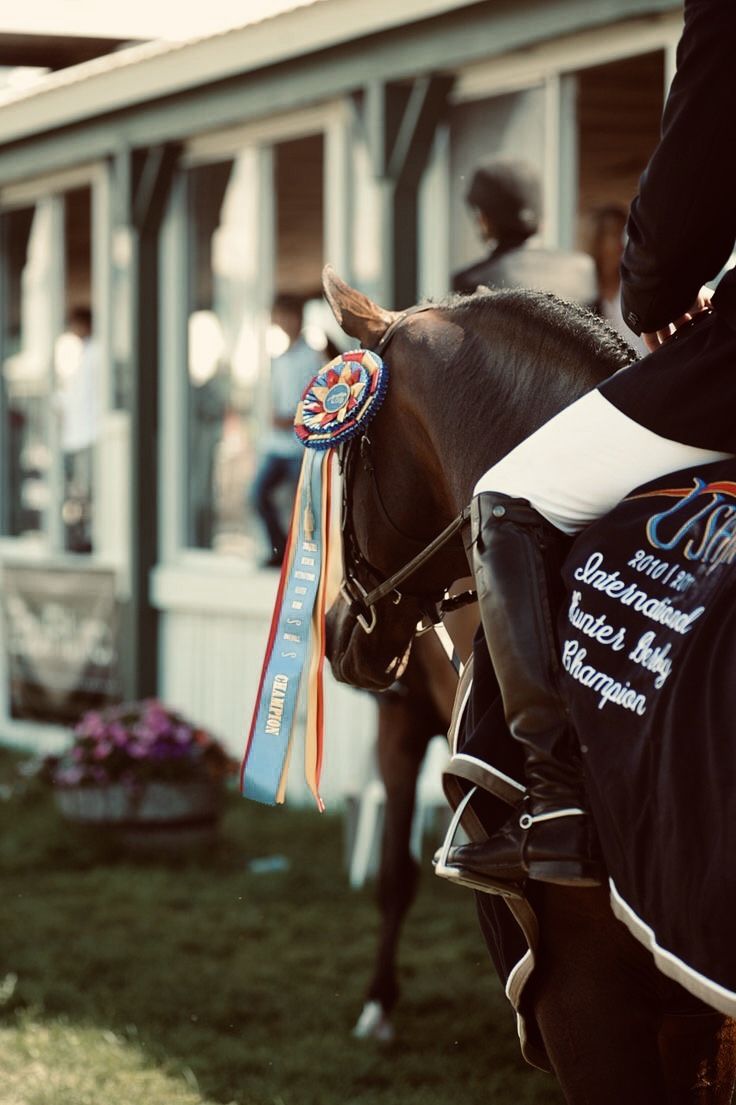 a person riding on the back of a brown horse in front of a white building