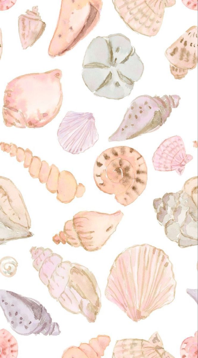 watercolor seashells on white background