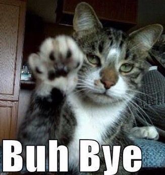 a cat with its paw in the air and caption that says, buh bye