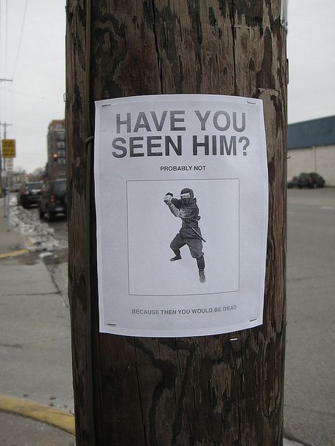 a sign on a telephone pole that says have you seen him? probably not