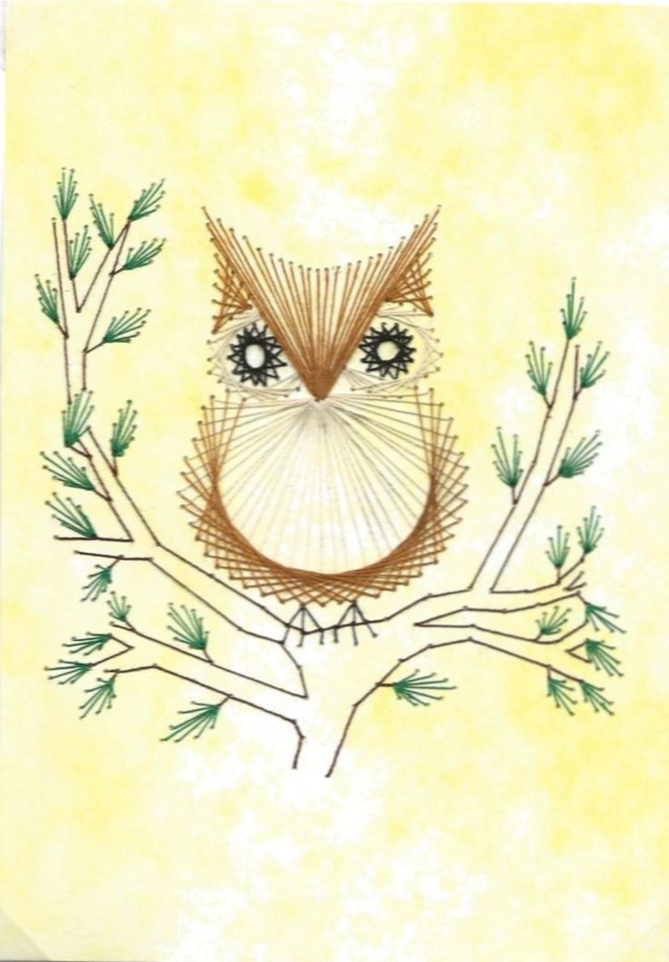 an owl sitting on top of a tree branch with pine branches in front of it