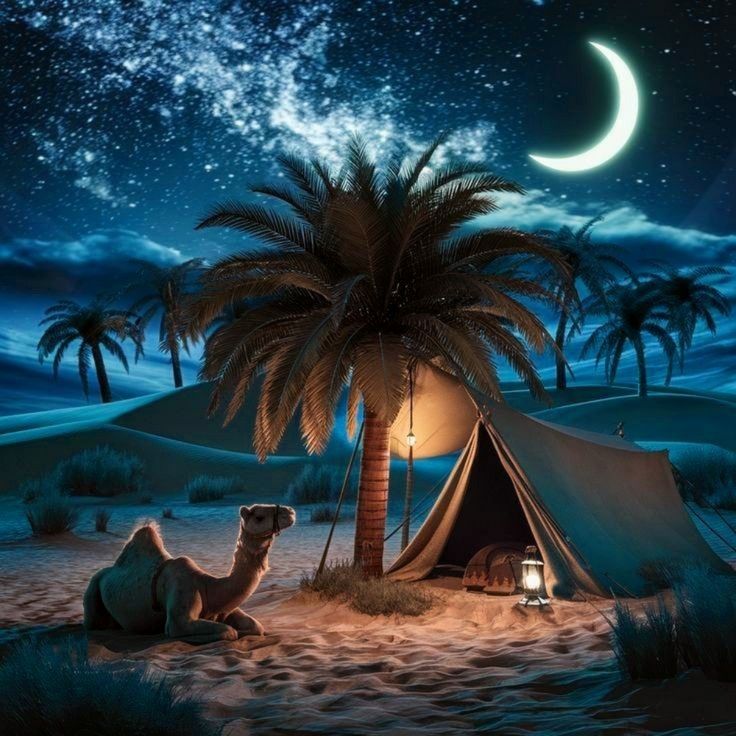 a camel sitting in the sand next to a tent under a palm tree at night