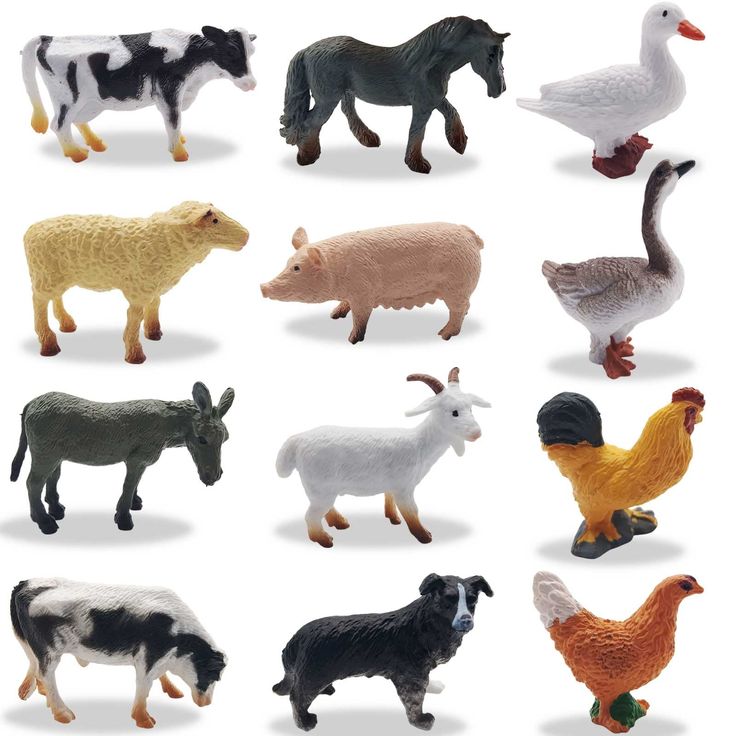 the farm animals are all different colors and sizes