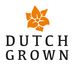 dutchgrown