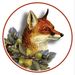 fox_andthefig