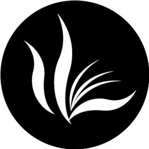 University of Illinois Press’s avatar