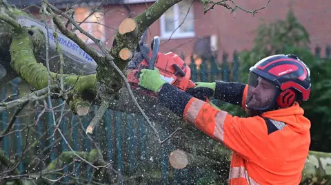 A tree surgeon is cutting branches off a tree that has fallen.