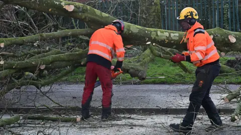 Two men, wearing orange hi-vis jackets and helmets, cutting a fallen tree on a road. 