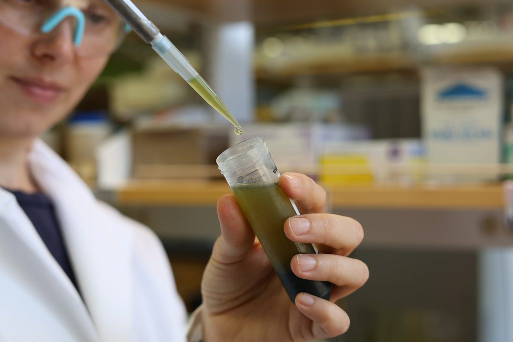 A woman in a lab coat is holding a test tube filled with a colorful liquid, showcasing her work in a laboratory setting.