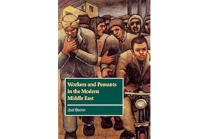 Workers and Peasants in the Modern Middle East (The Contemporary Middle East, Series Number 2)