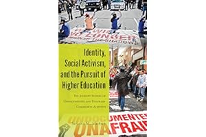 Identity, Social Activism, and the Pursuit of Higher Education: The Journey Stories of Undocumented and Unafraid Community Ac