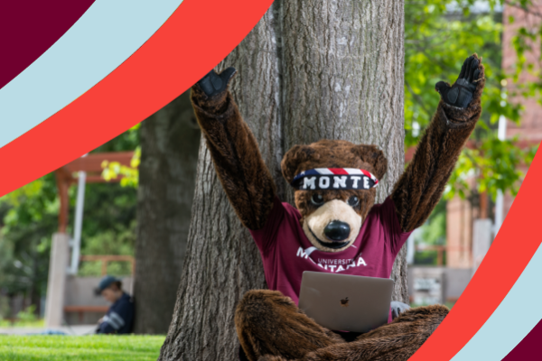 UM mascot Monte on sitting on lawn with a laptop