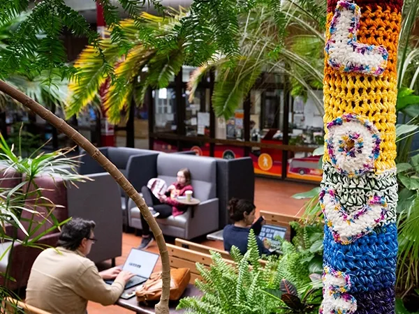 Students work in the UC near a tree that wears a knit sweater reading "LOVE"