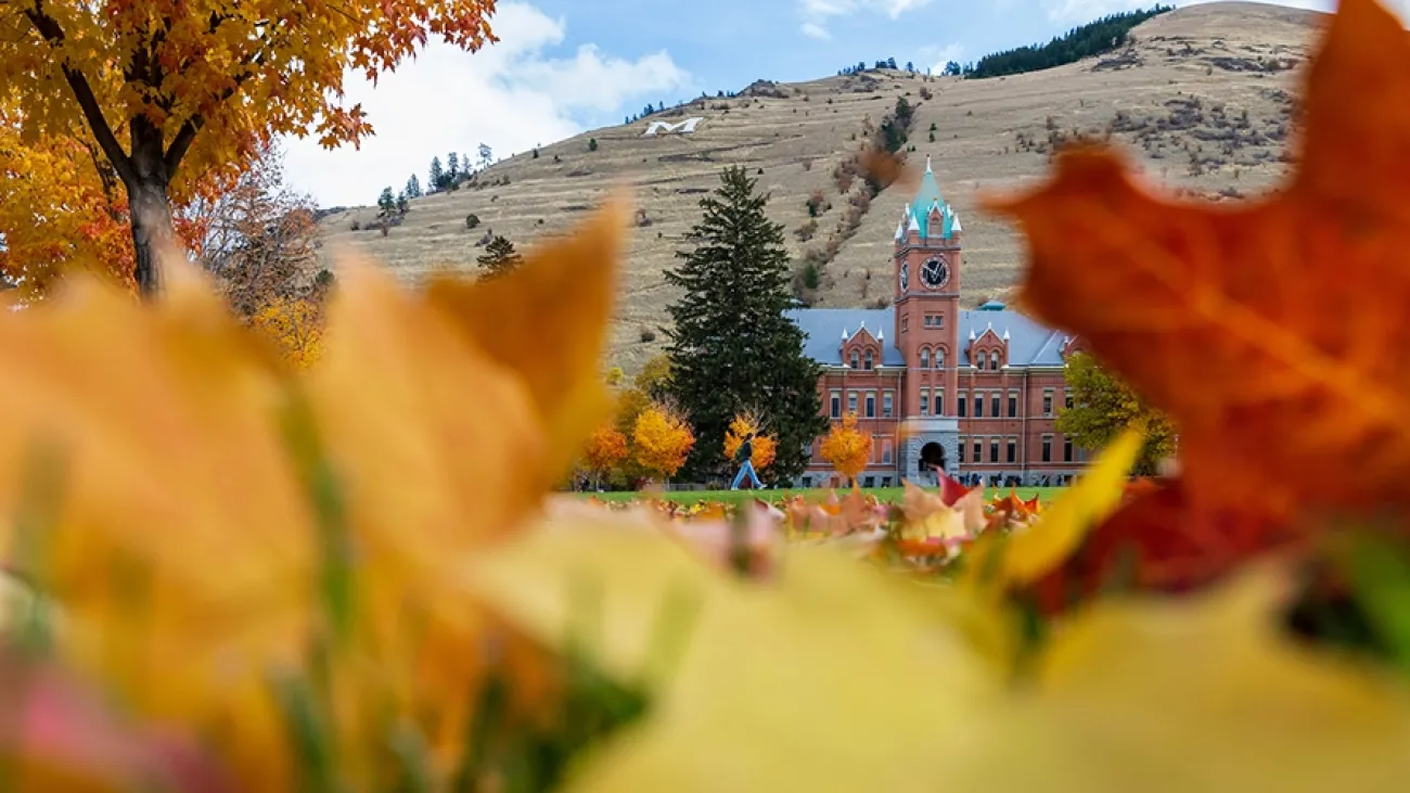 Colorful fall leaves are scattered across the Oval, Main Hall stands in the background