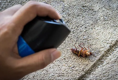 Cockroaches can cause an allergic reaction. 