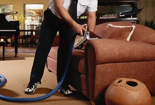 It helps get rid of dust mites in carpets and upholstered furniture.