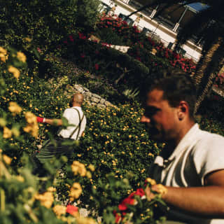 Angled image of the hotel gardens, where two gardeners in white shirts and red gloves attend to the yellow flowering shrubs.