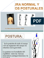 Ev. Postural