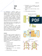 20 Hormonas Vegetales PDF