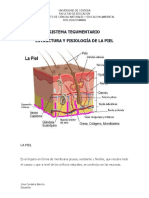 Sistema Tegumentario