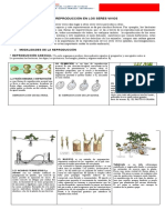 Guia 2 - La Reproducción en Seres Vivos - 8°