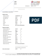 PDF Documento