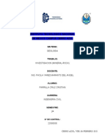 PDF Documento