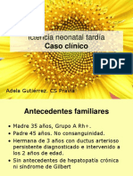 PDF Documento