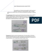 Cuestionario #1 Biologia 