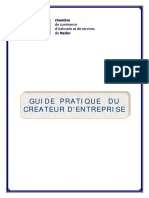 Guide Pratique Du Createur D'entreprise PDF