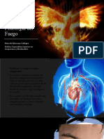 Fisiología Del Fuego