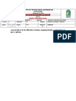 Matriz Comparativa Sistemas Organizacionales