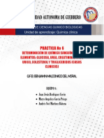 PDF Documento