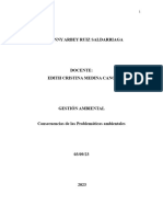 Consecuencias de Las Problemáticas Ambientales