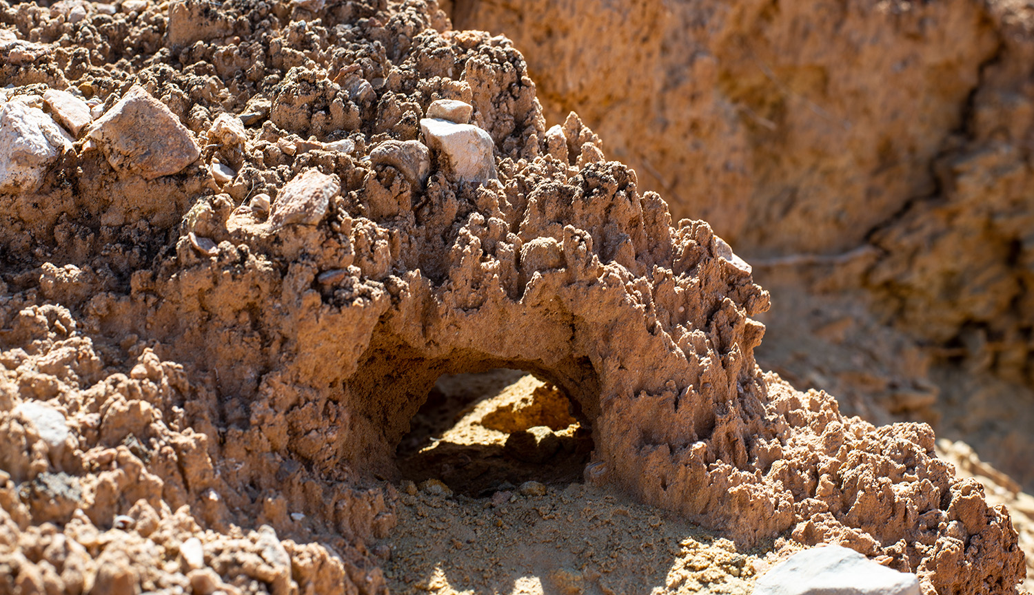 A closeup view of a bit of soil forming an arch.