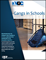 SSI Gangs Website Image OJJDP Gangs in Schools