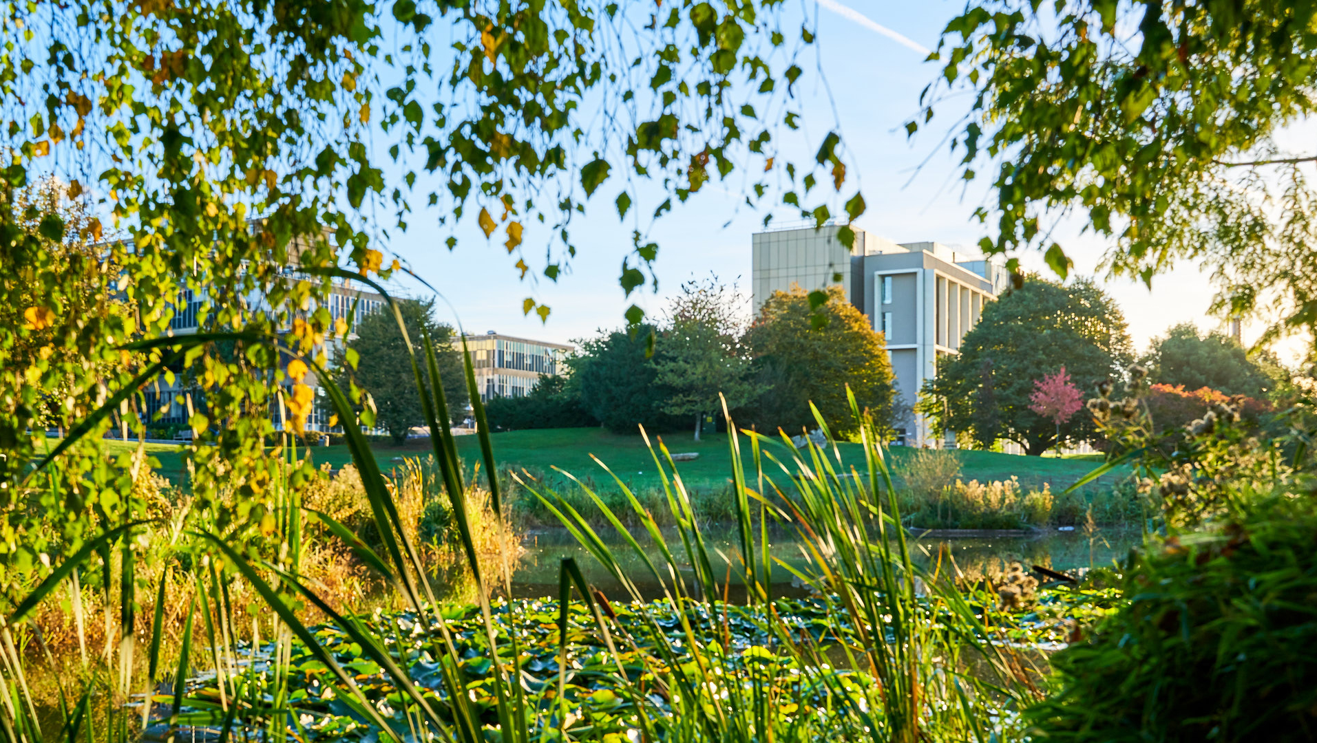 A view of the campus on a sunny day